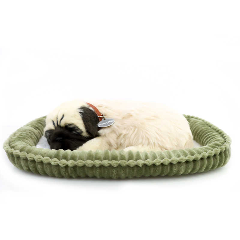 Precious petzzz pug 2025